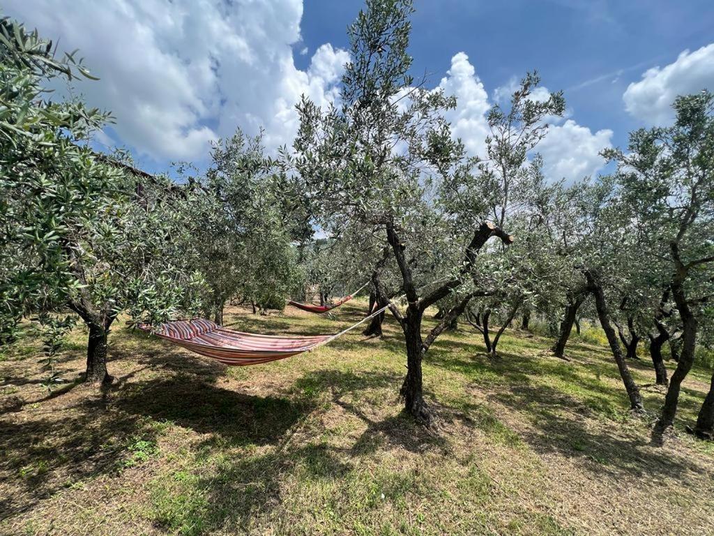Bed and Breakfast Casa Della Noce Вінчі Екстер'єр фото